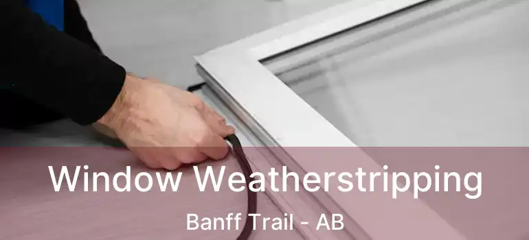 Window Weatherstripping Banff Trail - AB