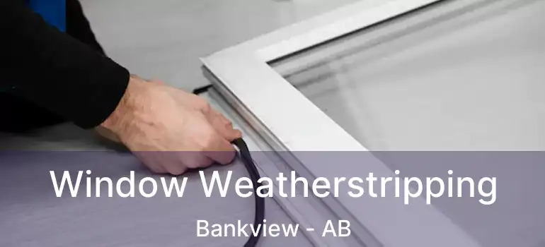  Window Weatherstripping Bankview - AB