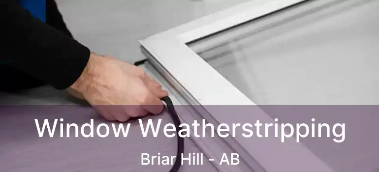  Window Weatherstripping Briar Hill - AB