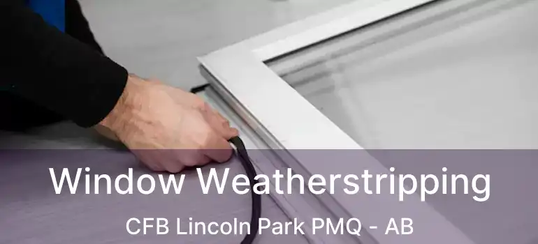  Window Weatherstripping CFB Lincoln Park PMQ - AB