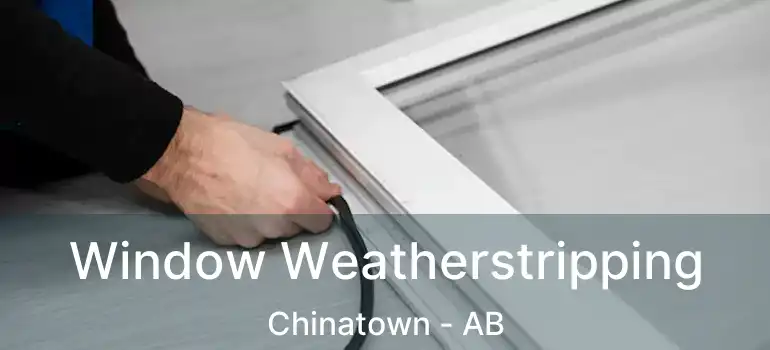  Window Weatherstripping Chinatown - AB