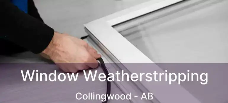  Window Weatherstripping Collingwood - AB