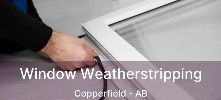  Window Weatherstripping Copperfield - AB