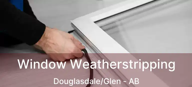  Window Weatherstripping Douglasdale/Glen - AB