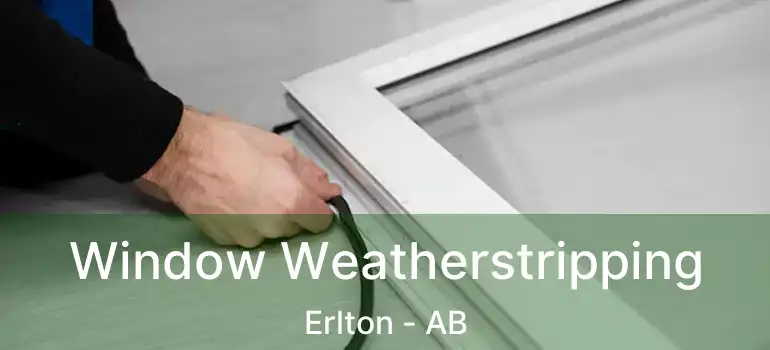  Window Weatherstripping Erlton - AB