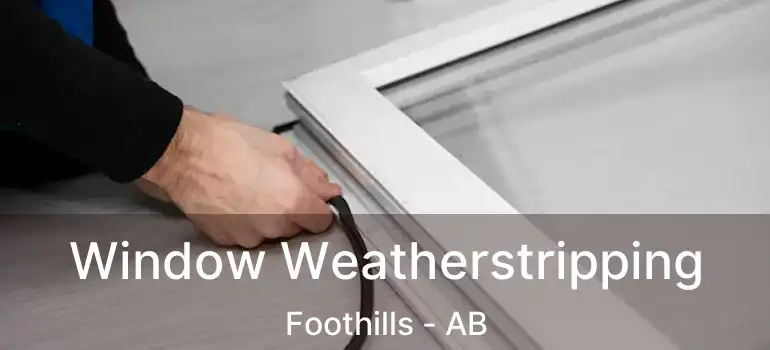  Window Weatherstripping Foothills - AB