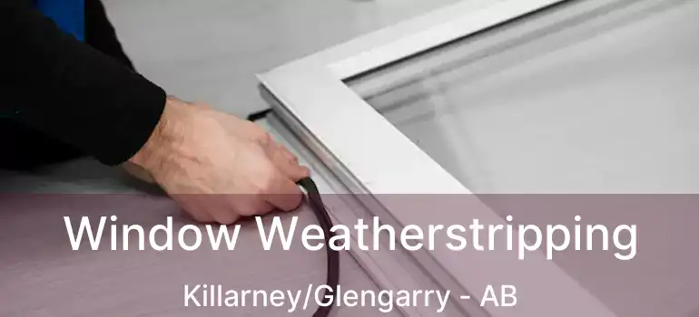  Window Weatherstripping Killarney/Glengarry - AB