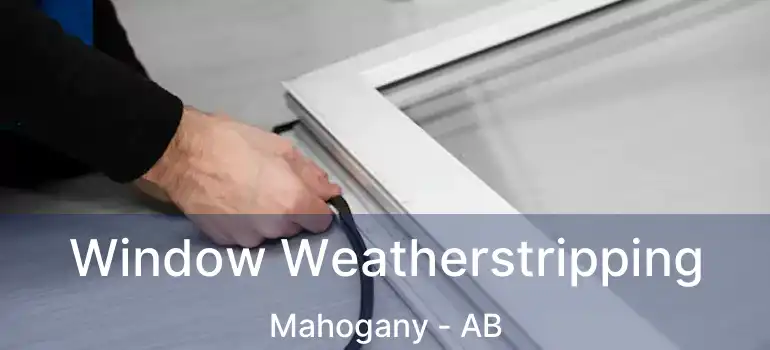  Window Weatherstripping Mahogany - AB