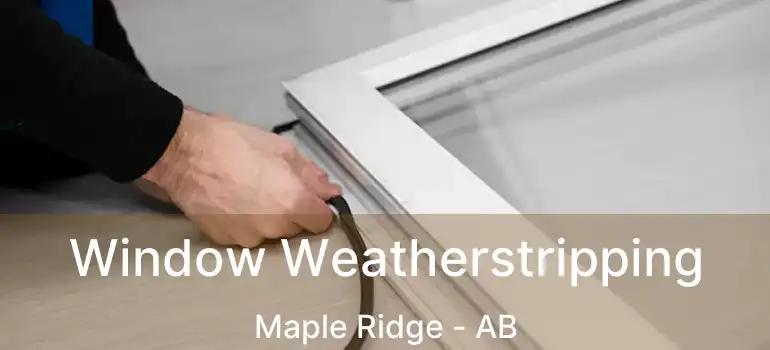 Window Weatherstripping Maple Ridge - AB