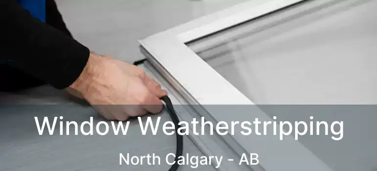  Window Weatherstripping North Calgary - AB