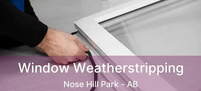  Window Weatherstripping Nose Hill Park - AB