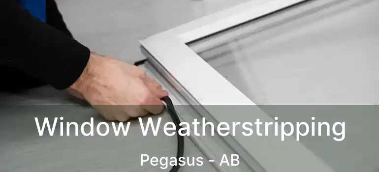  Window Weatherstripping Pegasus - AB
