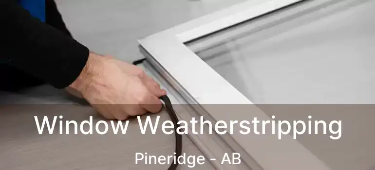  Window Weatherstripping Pineridge - AB