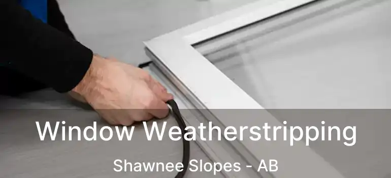  Window Weatherstripping Shawnee Slopes - AB