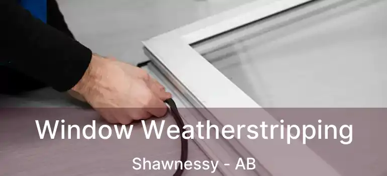  Window Weatherstripping Shawnessy - AB