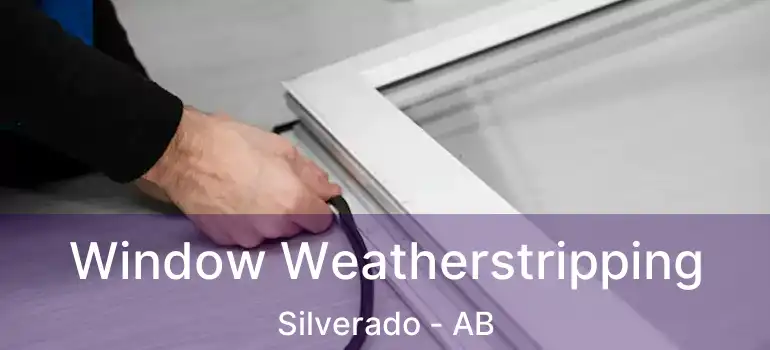  Window Weatherstripping Silverado - AB