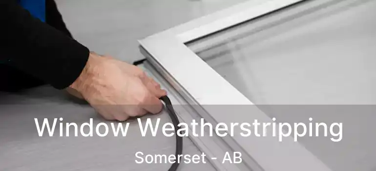  Window Weatherstripping Somerset - AB
