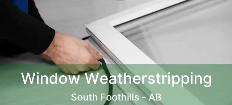  Window Weatherstripping South Foothills - AB