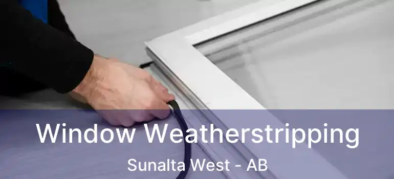  Window Weatherstripping Sunalta West - AB
