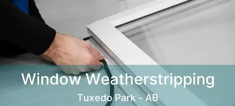  Window Weatherstripping Tuxedo Park - AB