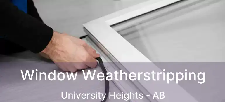 Window Weatherstripping University Heights - AB