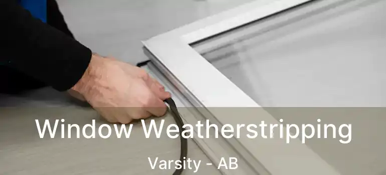  Window Weatherstripping Varsity - AB