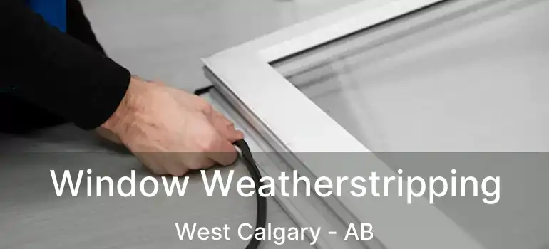  Window Weatherstripping West Calgary - AB