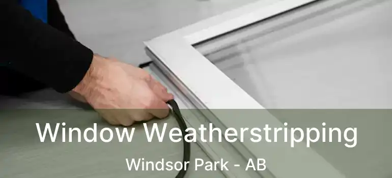  Window Weatherstripping Windsor Park - AB