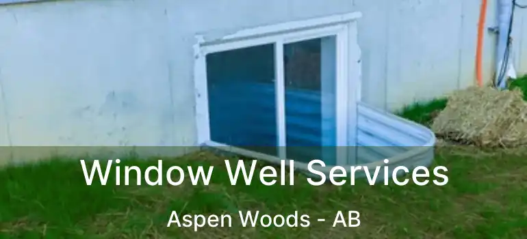  Window Well Services Aspen Woods - AB