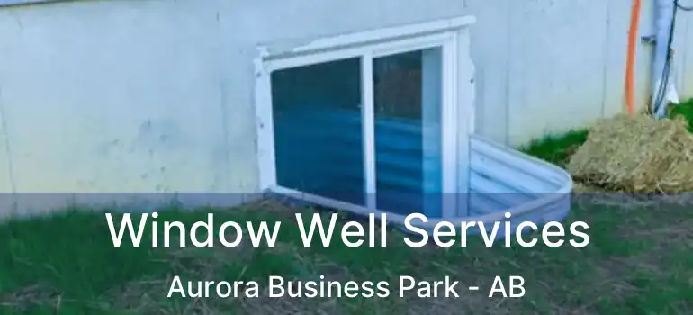  Window Well Services Aurora Business Park - AB