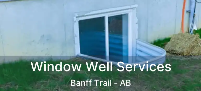  Window Well Services Banff Trail - AB