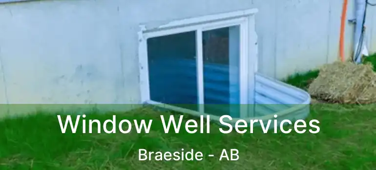  Window Well Services Braeside - AB
