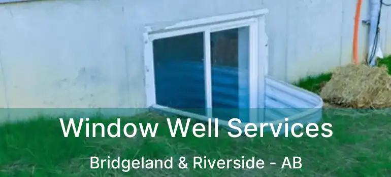  Window Well Services Bridgeland & Riverside - AB