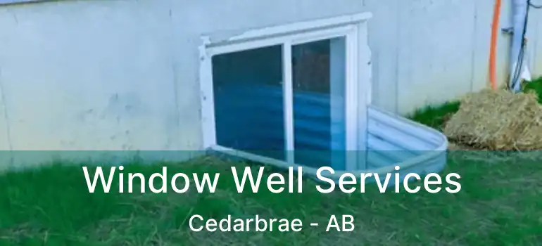  Window Well Services Cedarbrae - AB
