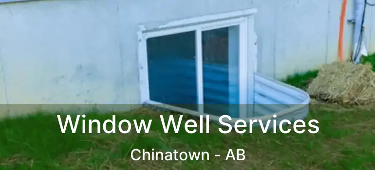  Window Well Services Chinatown - AB