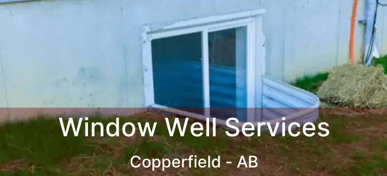  Window Well Services Copperfield - AB