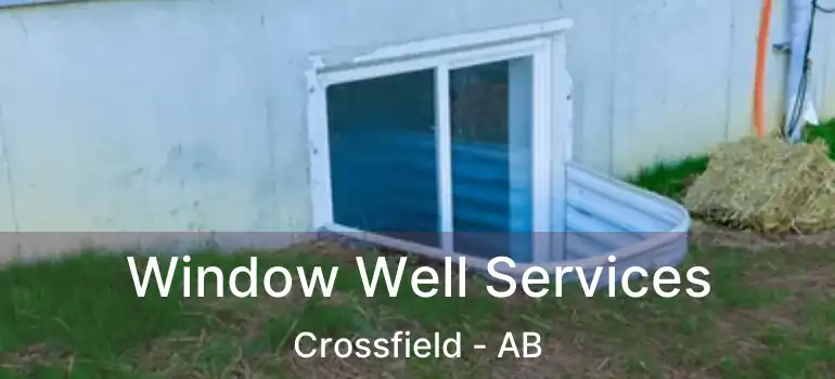  Window Well Services Crossfield - AB