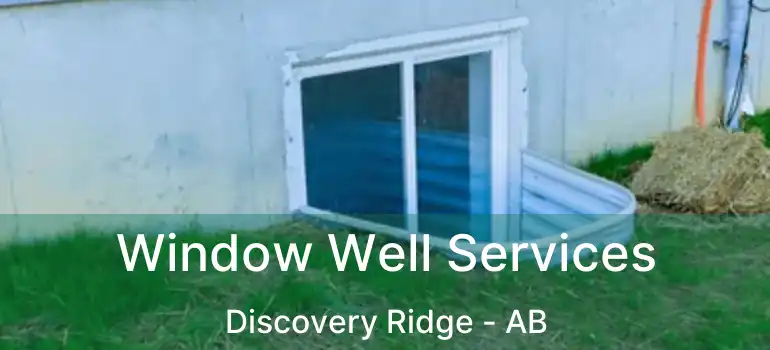  Window Well Services Discovery Ridge - AB