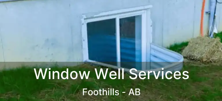  Window Well Services Foothills - AB