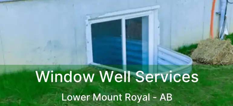  Window Well Services Lower Mount Royal - AB