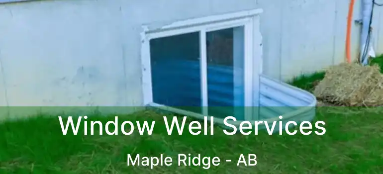  Window Well Services Maple Ridge - AB