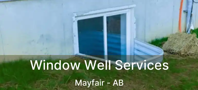 Window Well Services Mayfair - AB