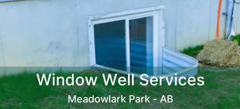  Window Well Services Meadowlark Park - AB
