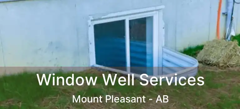  Window Well Services Mount Pleasant - AB