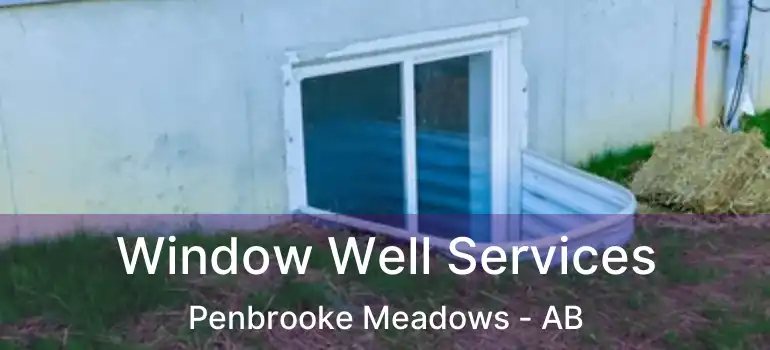  Window Well Services Penbrooke Meadows - AB