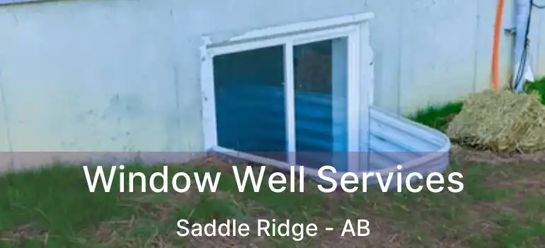  Window Well Services Saddle Ridge - AB