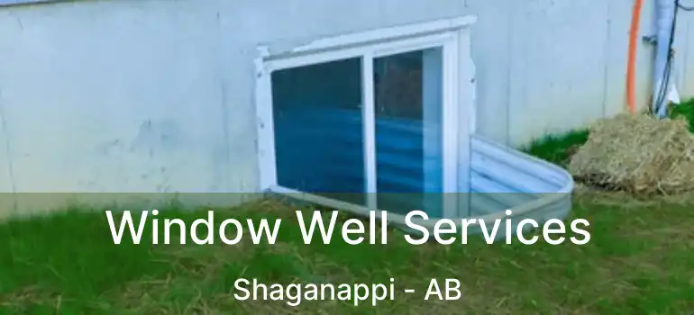  Window Well Services Shaganappi - AB
