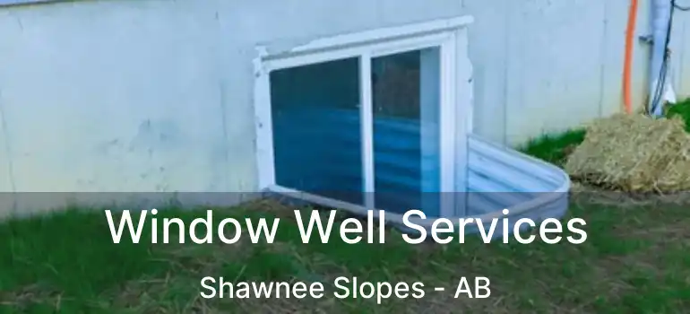  Window Well Services Shawnee Slopes - AB