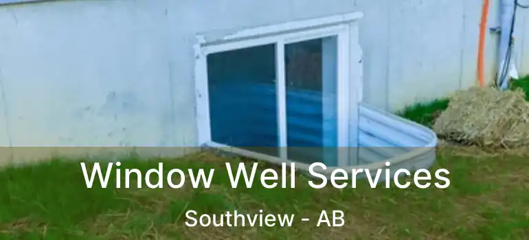  Window Well Services Southview - AB