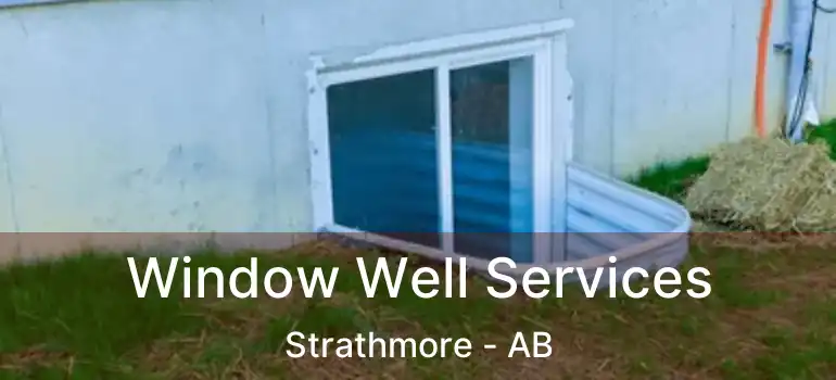  Window Well Services Strathmore - AB
